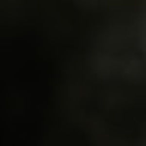 Meet your Posher, Anahita